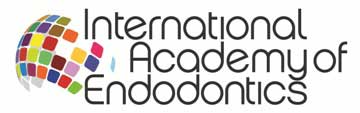 IAE logo banner